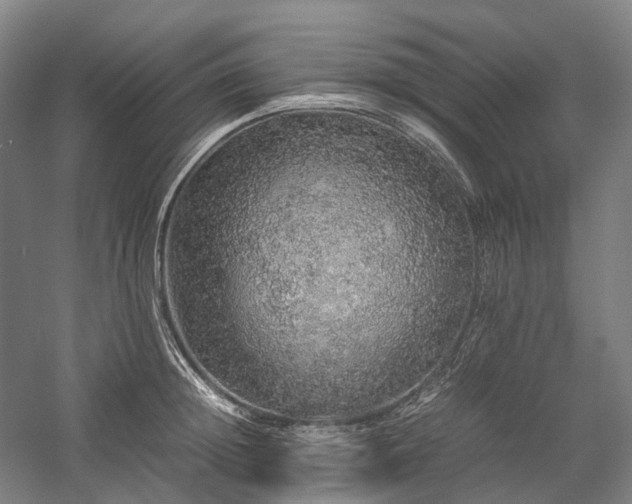 X0000058110852200509231024