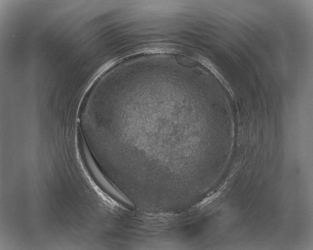 X0000058110853200509231024