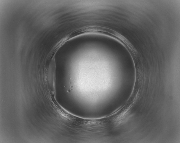 X0000058110857200509231024