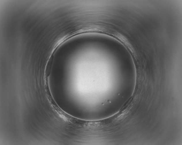 X0000058110858200509231024