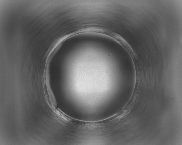 X0000058110860200509231024