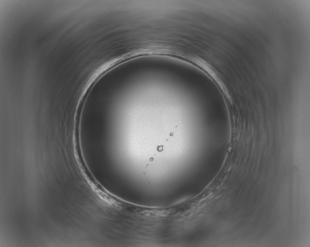 X0000058110861200509231024