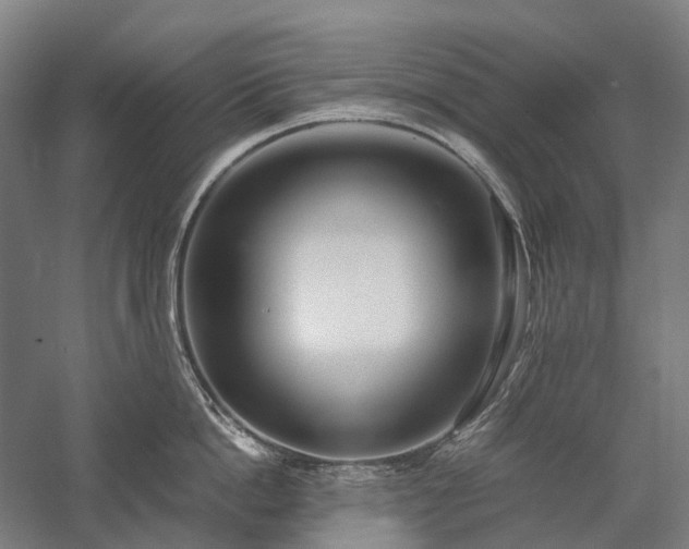 X0000058110862200509231024