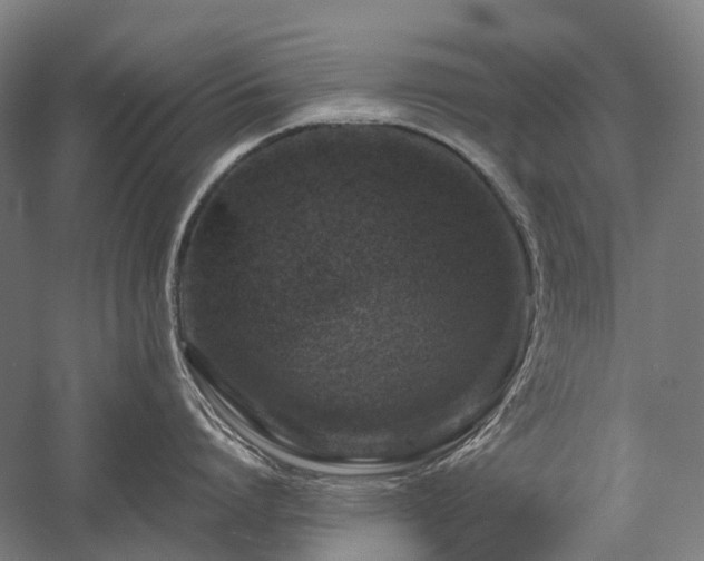 X0000058110864200509231024