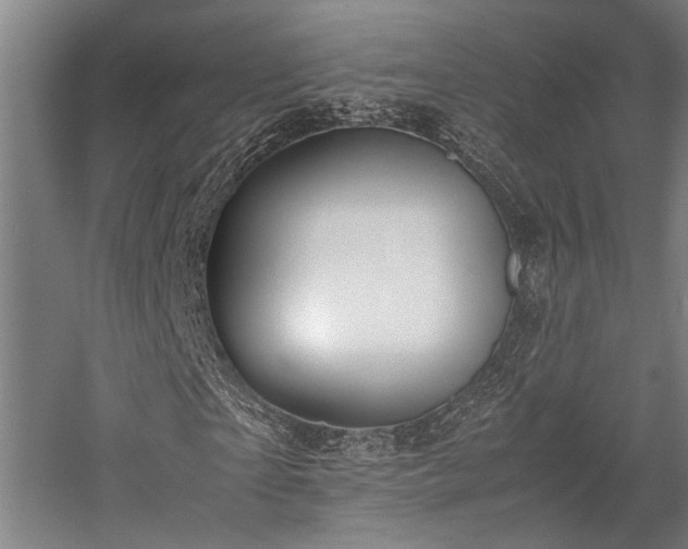 X0000058110865200509231023
