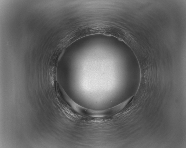 X0000058110868200509231023