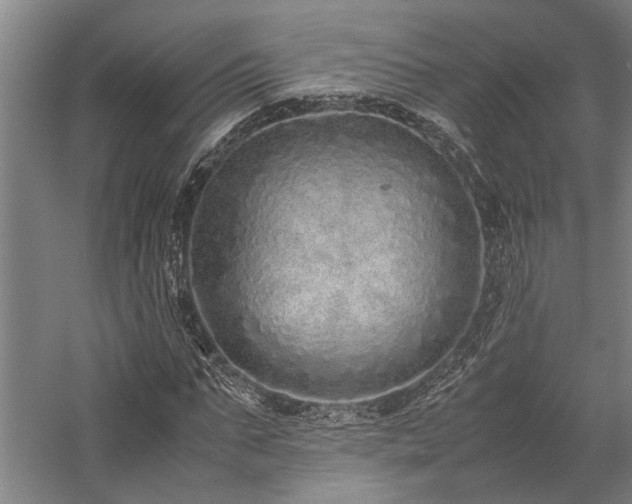X0000058110871200509231023