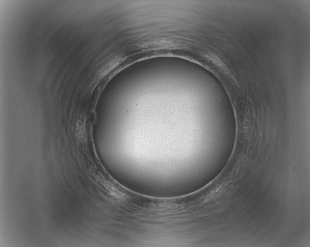 X0000058110873200509231023