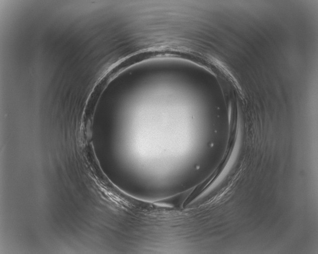 X0000058110876200509231023
