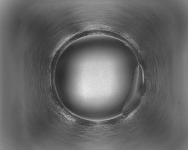 X0000058110877200509231023