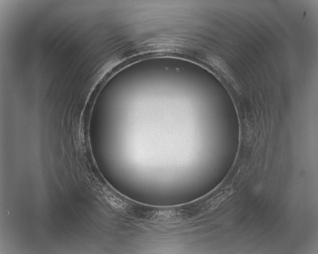 X0000058110883200509231023