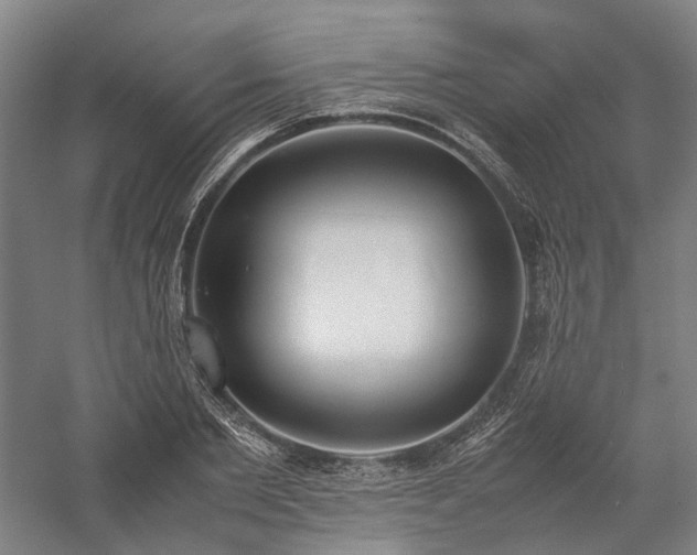 X0000058110885200509231023