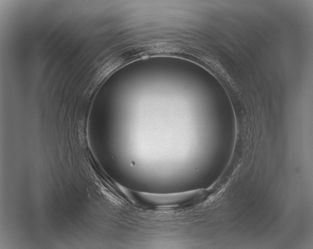 X0000058110889200509231023