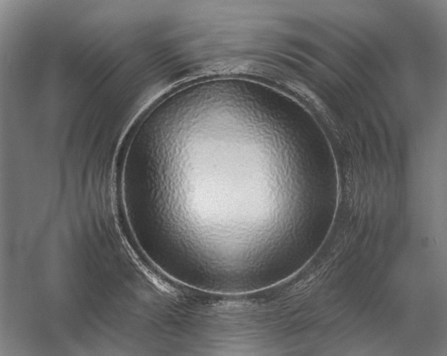 X0000058110894200509231023