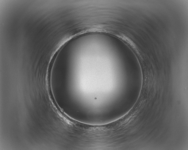X0000058110902200509231023