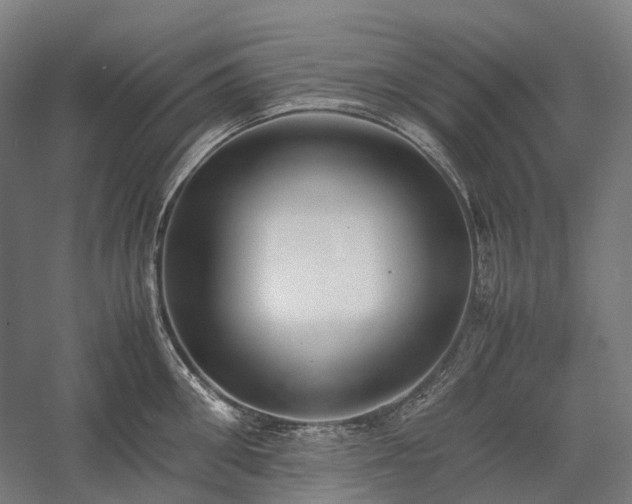 X0000058110906200509231023