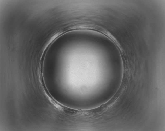 X0000058110909200509231023