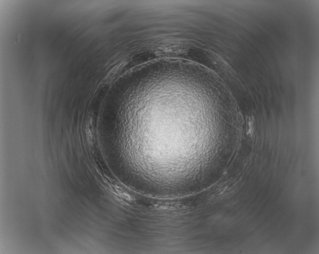X0000058110915200509231022