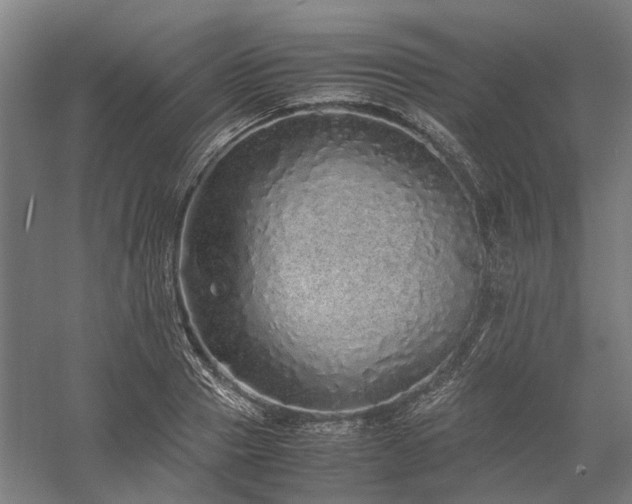 X0000058110937200509231022