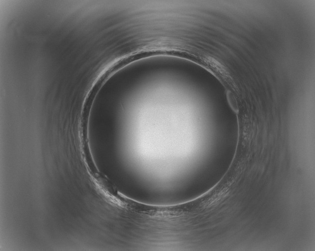 X0000058110942200509231022