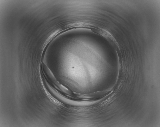 X0000058110946200509231022