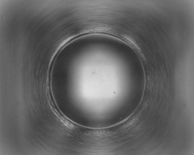 X0000058110948200509231022