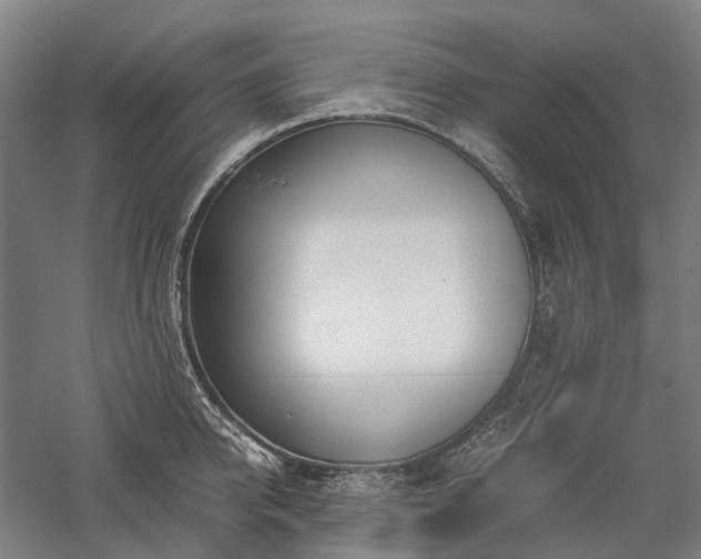 X0000058110950200509231022