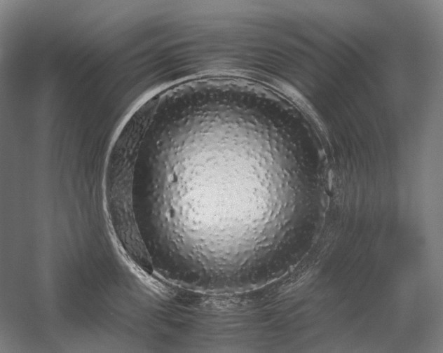 X0000058110955200509231022