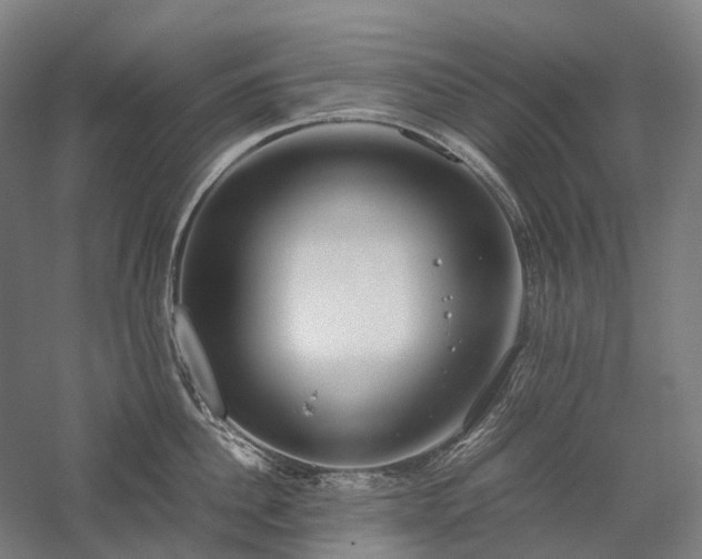 X0000058110956200509231022