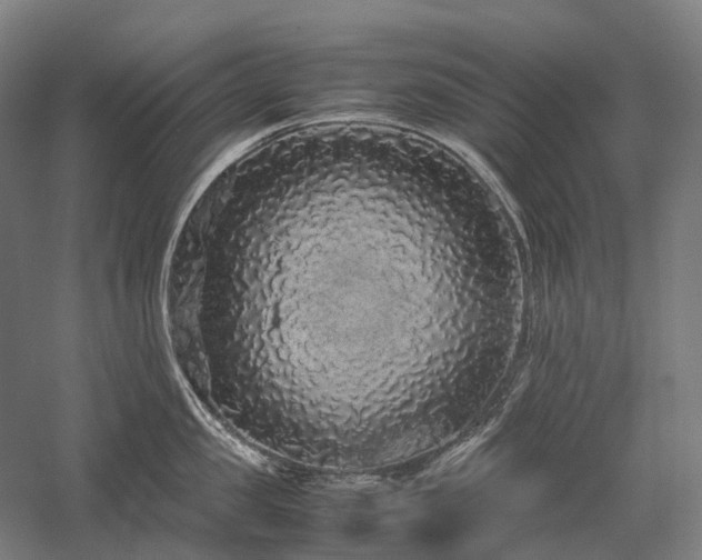 X0000058110957200509231022