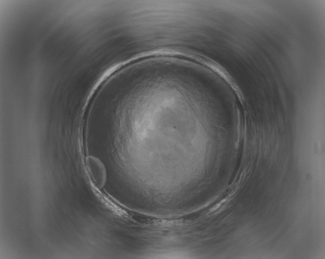 X0000058110958200509231023