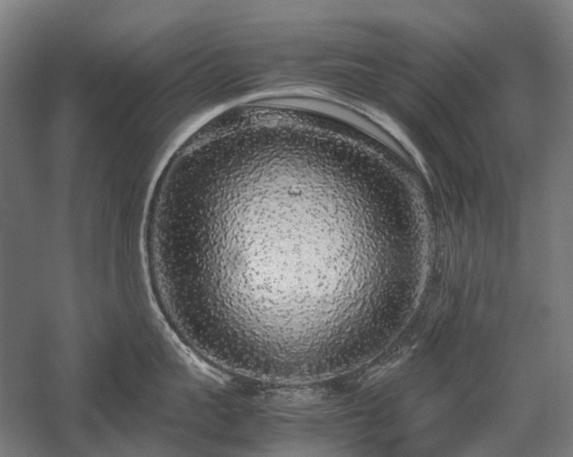 X0000058110959200509231023