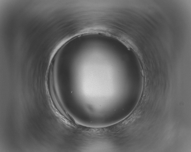 X0000058110960200509231023