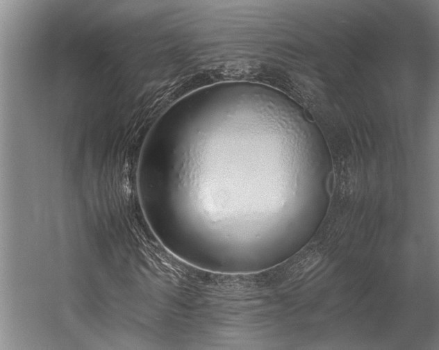 X0000058110962200509231022