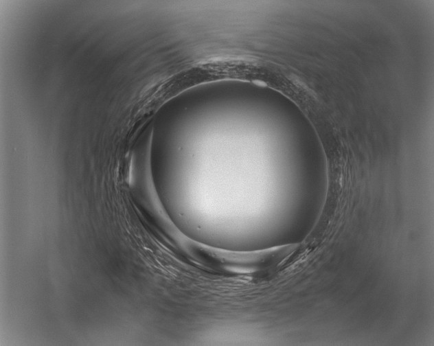 X0000058110965200509231022