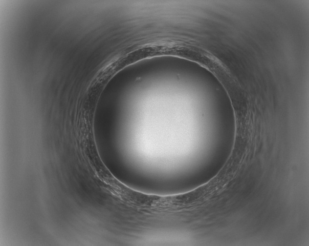 X0000058110967200509231022