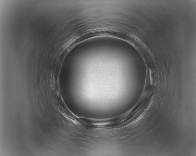 X0000058110969200509231022