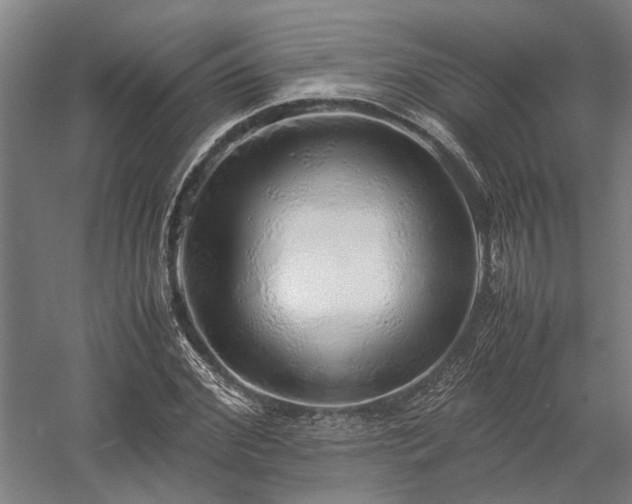 X0000058110972200509231022