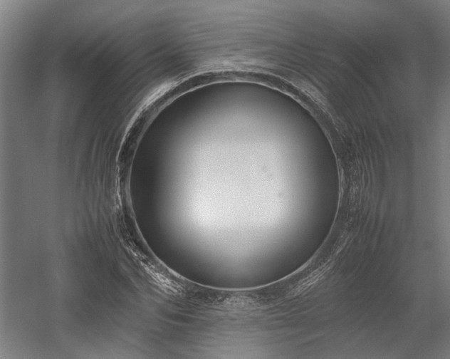 X0000058110974200509231021