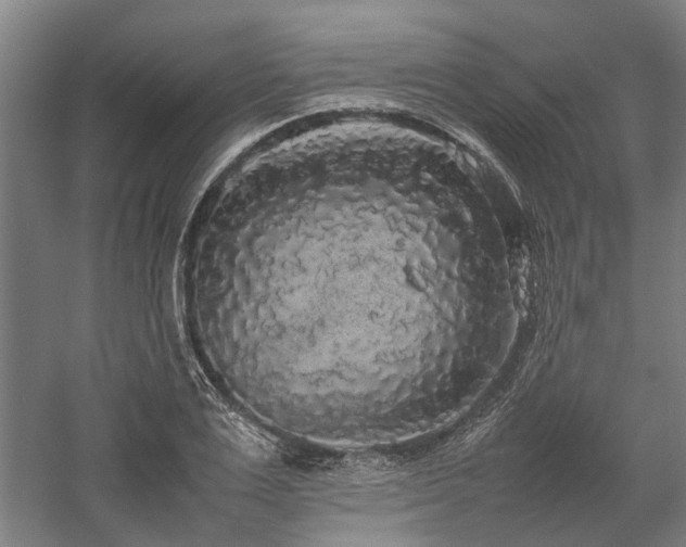 X0000058110983200509231021