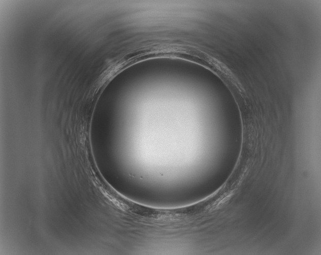 X0000058110985200509231021