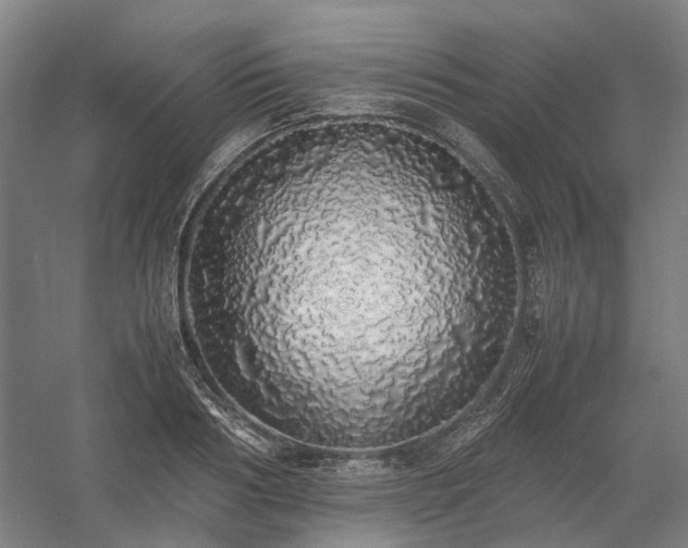X0000058110986200509231021