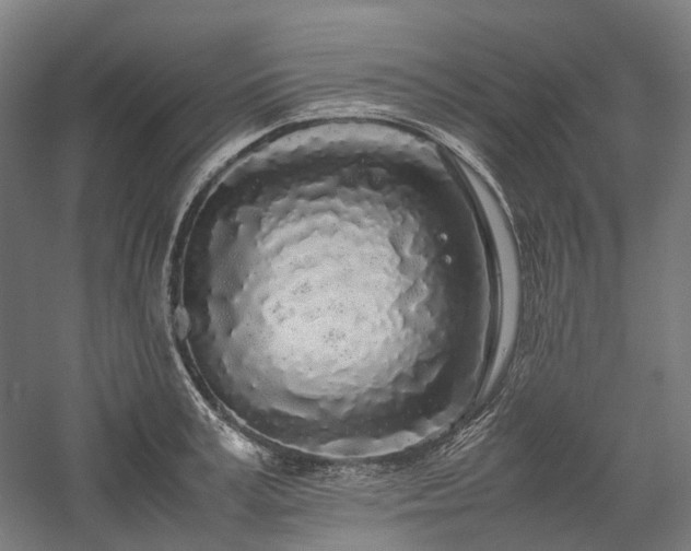 X0000058110995200509231021