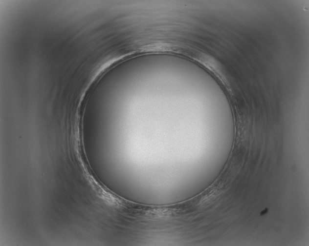 X0000058111000200509231021