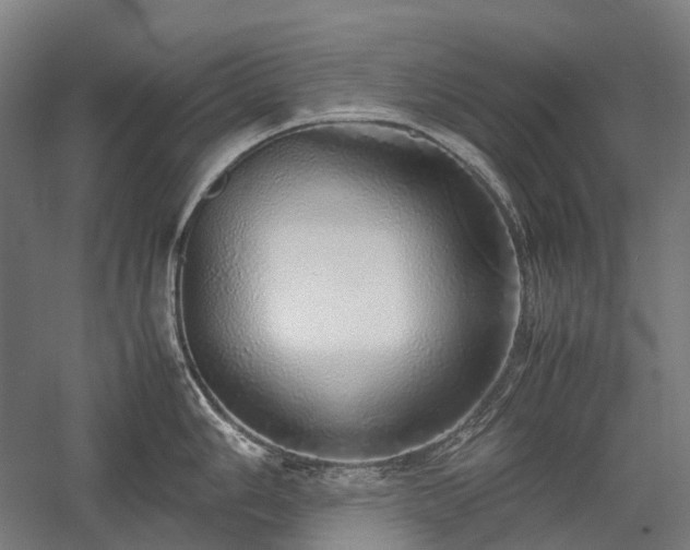 X0000058111006200509231021