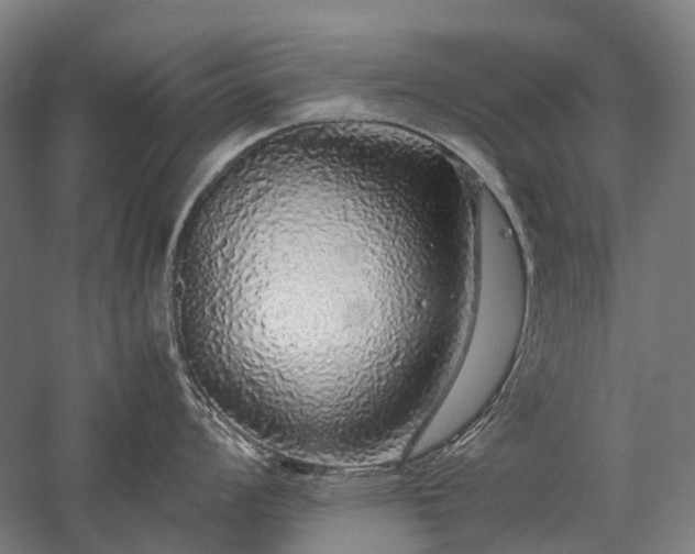 X0000058111008200509231021