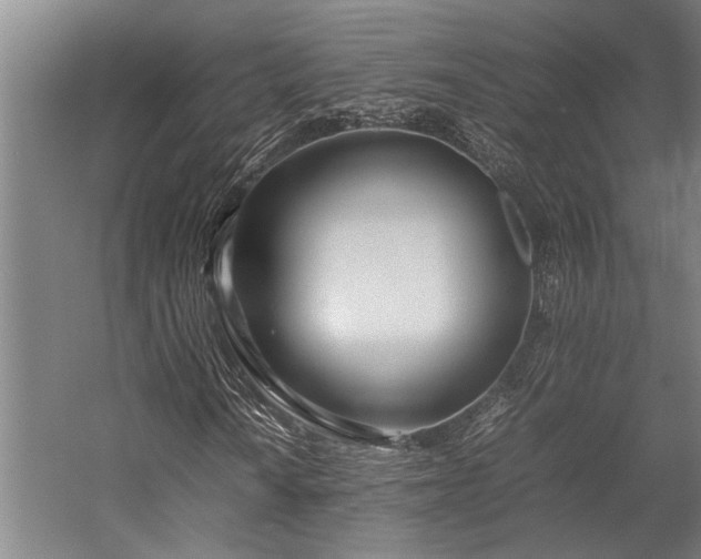 X0000058111010200509231020