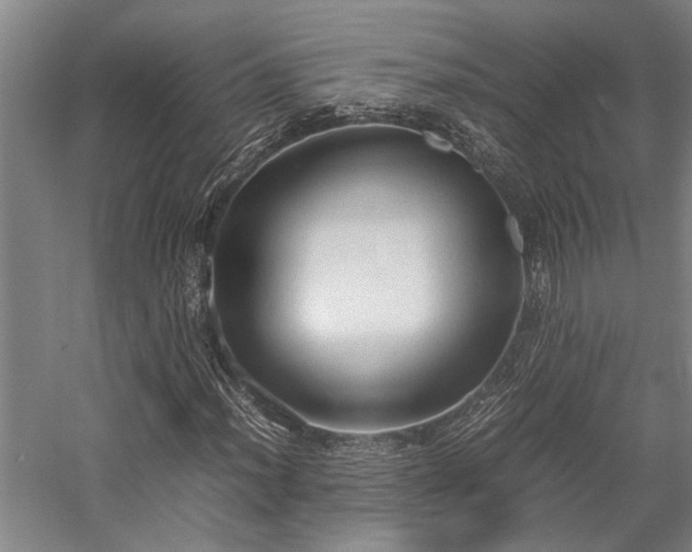 X0000058111012200509231020