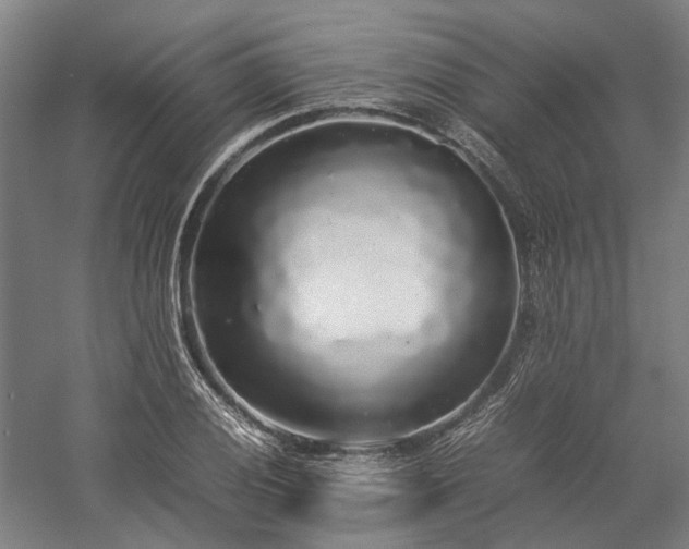 X0000058111028200509231020