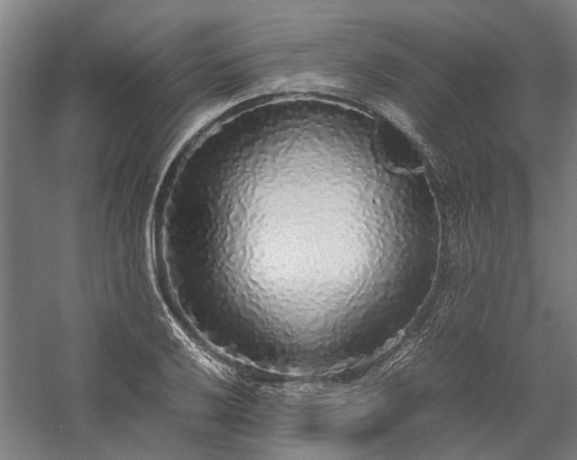 X0000058111032200509231020